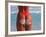 Woman in Thong at Beach with Sandy Bottom-Bill Bachmann-Framed Photographic Print