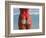 Woman in Thong at Beach with Sandy Bottom-Bill Bachmann-Framed Photographic Print