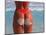 Woman in Thong at Beach with Sandy Bottom-Bill Bachmann-Mounted Photographic Print