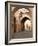 Woman in Traditional Dress Walking in Narrow Side Streets, Old Quarter, Medina, Marrakesh, Morocco-Stephen Studd-Framed Photographic Print