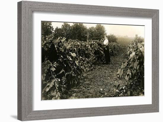 Woman in Vineyard-null-Framed Art Print