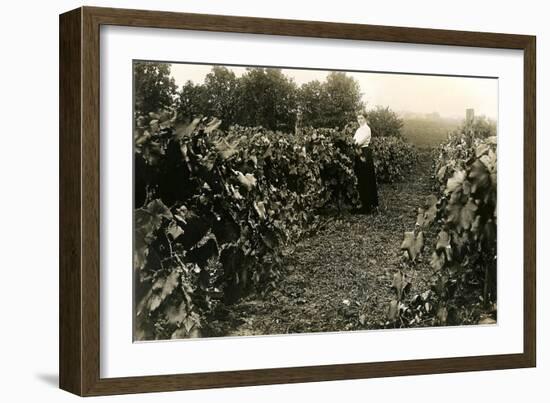 Woman in Vineyard-null-Framed Art Print