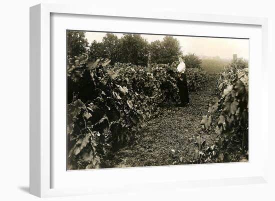 Woman in Vineyard-null-Framed Art Print