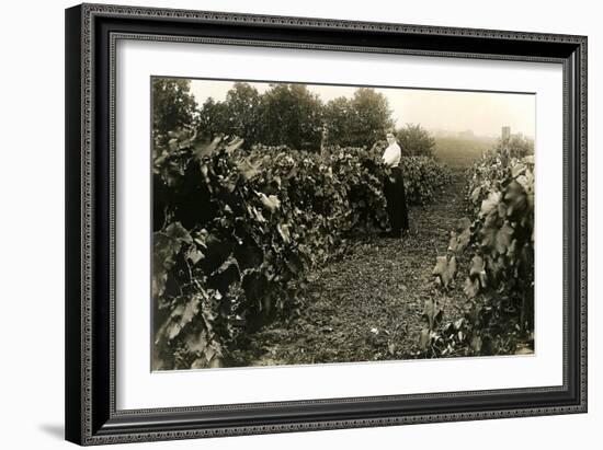 Woman in Vineyard-null-Framed Art Print