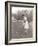 Woman in White Gloves Playing Golf-null-Framed Photo