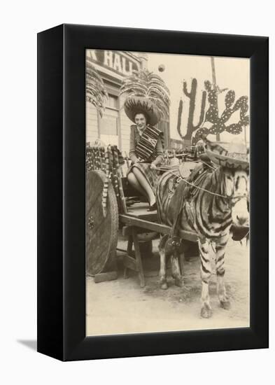 Woman in Zebra Cart, Tijuana, Mexico-null-Framed Stretched Canvas