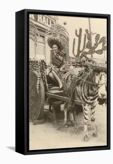 Woman in Zebra Cart, Tijuana, Mexico-null-Framed Stretched Canvas