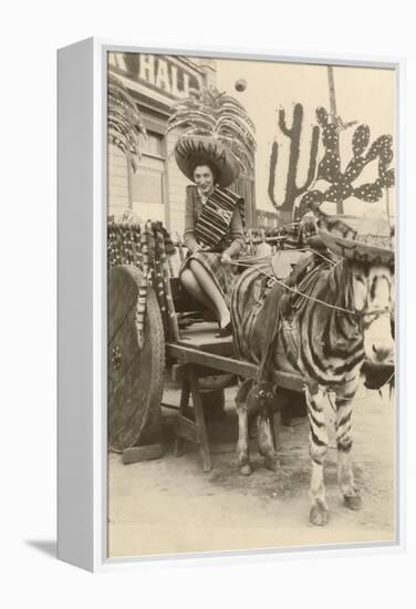 Woman in Zebra Cart, Tijuana, Mexico-null-Framed Stretched Canvas