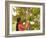 Woman Inspecting Durian Fruit-Bjorn Svensson-Framed Photographic Print