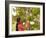 Woman Inspecting Durian Fruit-Bjorn Svensson-Framed Photographic Print