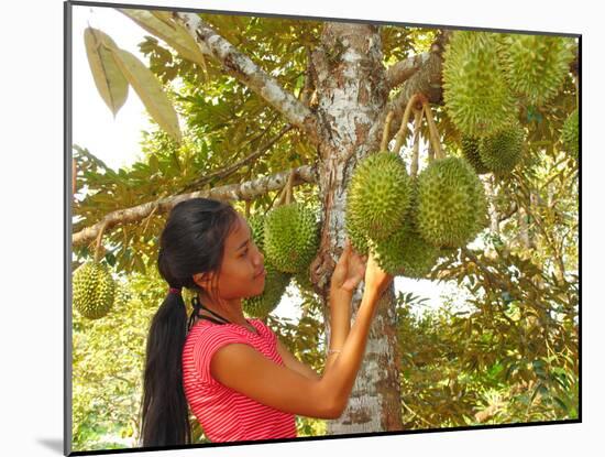 Woman Inspecting Durian Fruit-Bjorn Svensson-Mounted Photographic Print