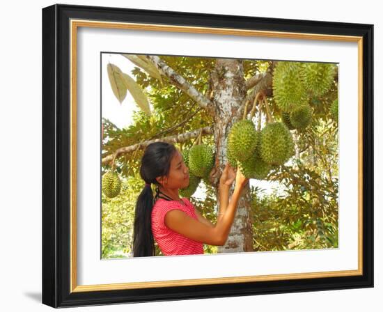 Woman Inspecting Durian Fruit-Bjorn Svensson-Framed Photographic Print