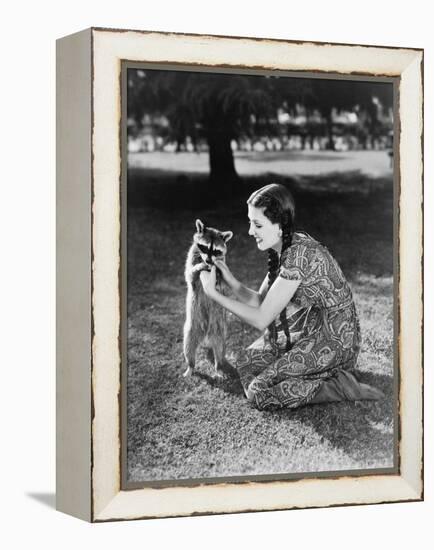 Woman Kneeling on the Lawn Playing with a Tame Raccoon-null-Framed Stretched Canvas