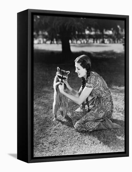 Woman Kneeling on the Lawn Playing with a Tame Raccoon-null-Framed Stretched Canvas