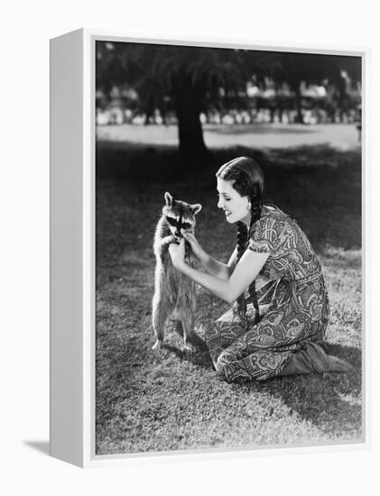 Woman Kneeling on the Lawn Playing with a Tame Raccoon-null-Framed Stretched Canvas