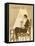 Woman Knitting 1929-null-Framed Premier Image Canvas