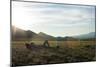 Woman Lays Down In The Grass Relaxing Amidst The Mountains And The Setting Sun-Hannah Dewey-Mounted Photographic Print