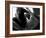 Woman Lounging-Antonino Barbagallo-Framed Photographic Print