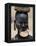 Woman of the Mursi Tribe, Her Clay Lip Plate Shows That She Is Married, Ethiopia-John Warburton-lee-Framed Premier Image Canvas