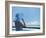 Woman on a Cruise Ship, Nassau, Bahamas, West Indies, Caribbean, Central America-Angelo Cavalli-Framed Photographic Print