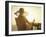 Woman on a Cruise Ship, Nassau, Bahamas, West Indies, Caribbean, Central America-Angelo Cavalli-Framed Photographic Print