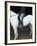 Woman on Horse-C. Lyttle-Framed Photographic Print