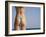 Woman on the Beach, Miami Beach, Florida, United States of America, North America-Angelo Cavalli-Framed Photographic Print