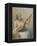 Woman Playing a Lute-Fausto Zonaro-Framed Premier Image Canvas