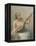 Woman Playing a Lute-Fausto Zonaro-Framed Premier Image Canvas