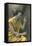 Woman Playing Harp-null-Framed Stretched Canvas