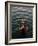 Woman Pouring Water During Morning Puja on Ganges, Varanasi, India-Anthony Plummer-Framed Photographic Print