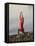 Woman Practicing Yoga on the Riverside, Bainbridge Island, Washington State, USA-null-Framed Premier Image Canvas