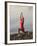 Woman Practicing Yoga on the Riverside, Bainbridge Island, Washington State, USA-null-Framed Photographic Print