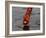 Woman Praying on the Banks of the River Ganges Fills Water into a Copper Vessel for a Ritual-null-Framed Photographic Print