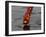 Woman Praying on the Banks of the River Ganges Fills Water into a Copper Vessel for a Ritual-null-Framed Photographic Print