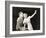 Woman Proposing a Toast to Hesitant Man-null-Framed Photo