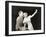 Woman Proposing a Toast to Hesitant Man-null-Framed Photo