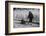 Woman Pulling Two Children on Sled in Winter, Vermont, 1940-Marion Post Wolcott-Framed Photographic Print