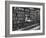 Woman Reading Book Among Shelves on Balcony in American History Room in New York Public Library-Alfred Eisenstaedt-Framed Photographic Print