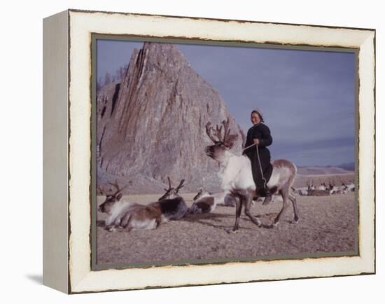 Woman Riding One of Her Reindeer in Outer Mongolia-Howard Sochurek-Framed Premier Image Canvas