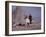 Woman Riding One of Her Reindeer in Outer Mongolia-Howard Sochurek-Framed Photographic Print