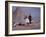 Woman Riding One of Her Reindeer in Outer Mongolia-Howard Sochurek-Framed Photographic Print