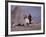 Woman Riding One of Her Reindeer in Outer Mongolia-Howard Sochurek-Framed Photographic Print