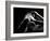 Woman's Back on Black Background-Antonino Barbagallo-Framed Photographic Print