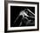 Woman's Back on Black Background-Antonino Barbagallo-Framed Photographic Print