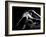 Woman's Back on Black Background-Antonino Barbagallo-Framed Photographic Print