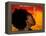 Woman's Colorful Profile, Cameroon-Bill Bachmann-Framed Premier Image Canvas