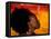 Woman's Colorful Profile, Cameroon-Bill Bachmann-Framed Premier Image Canvas