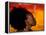 Woman's Colorful Profile, Cameroon-Bill Bachmann-Framed Premier Image Canvas