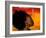 Woman's Colorful Profile, Cameroon-Bill Bachmann-Framed Photographic Print